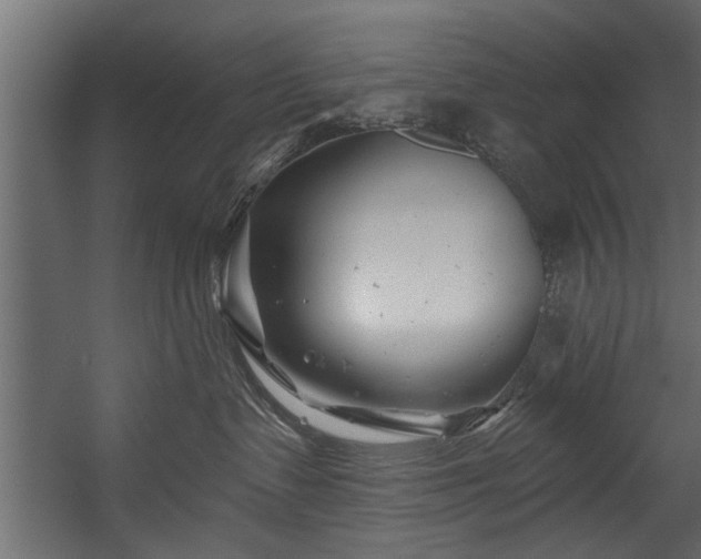 X0000054420335200508011404