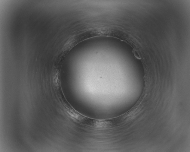 X0000054420336200508011404