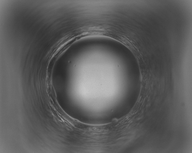 X0000054420338200508011403