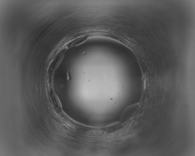 X0000054420339200508011403