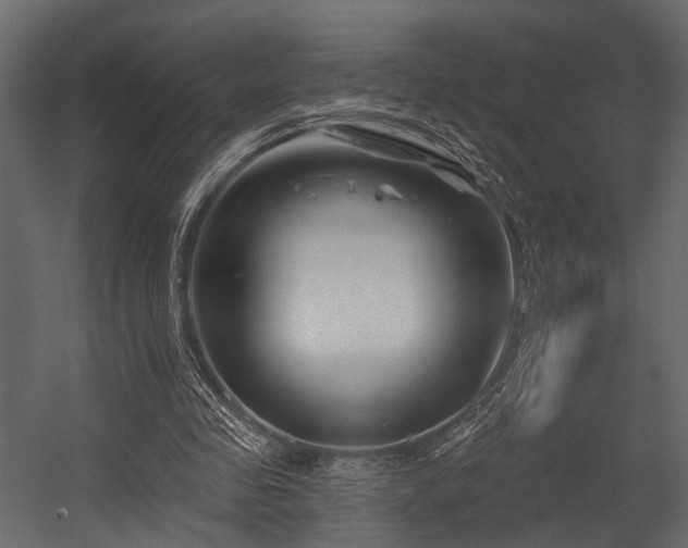 X0000054420341200508011403