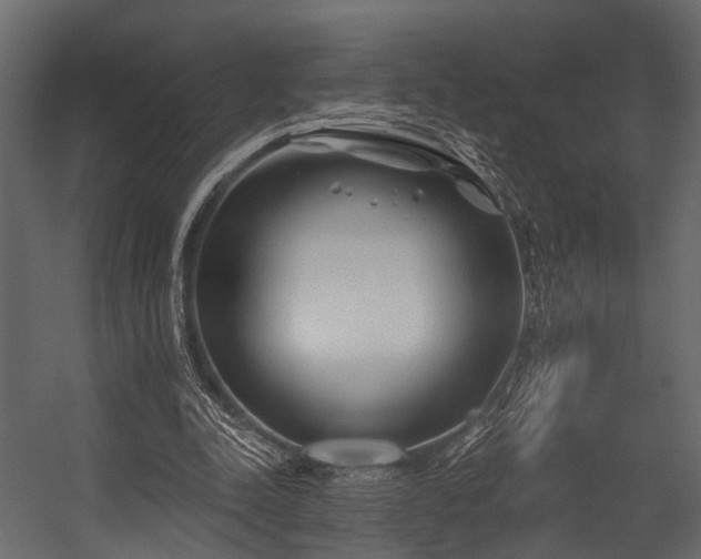 X0000054420342200508011403