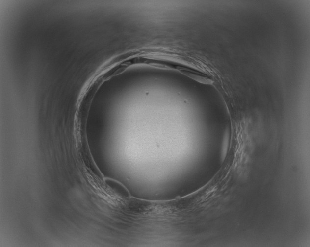 X0000054420343200508011403