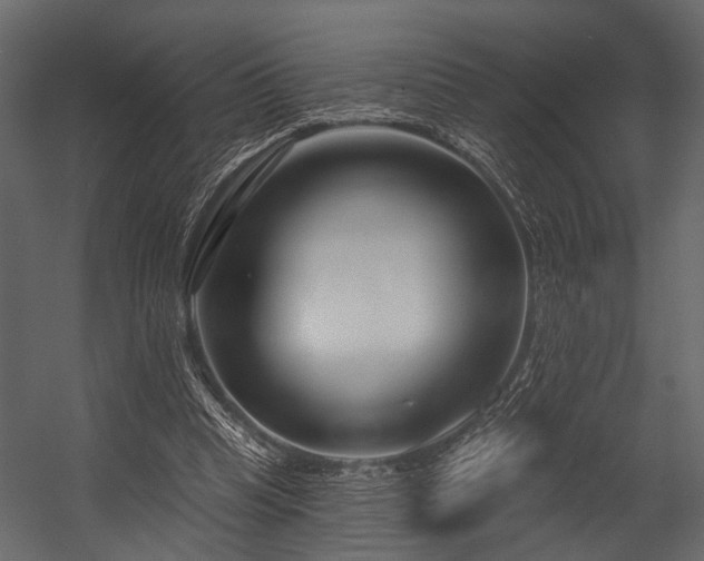 X0000054420345200508011403