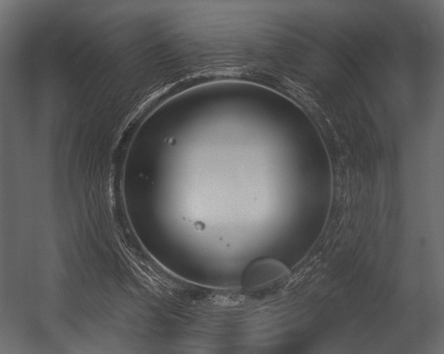 X0000054420346200508011403