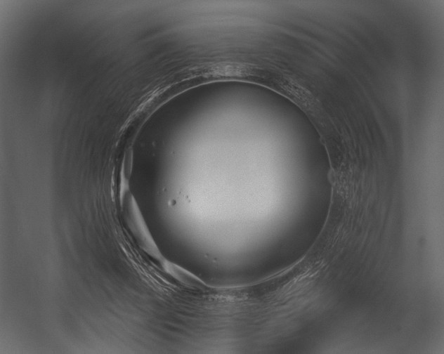 X0000054420347200508011403