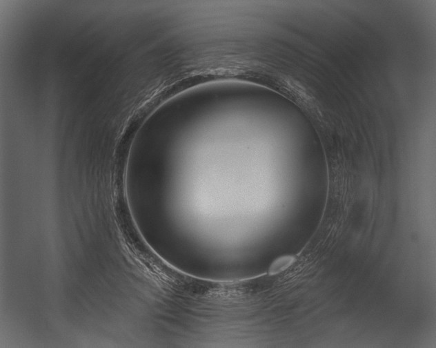 X0000054420354200508011403