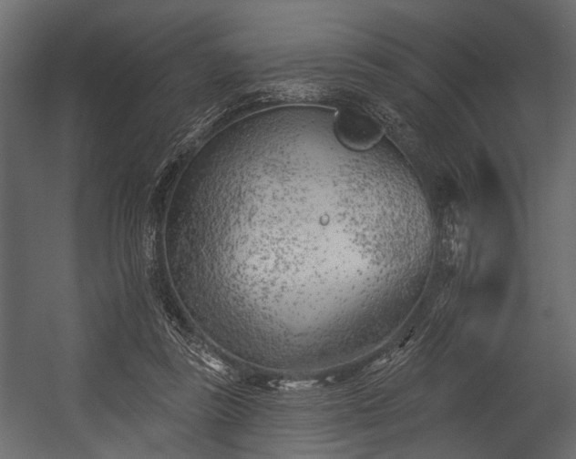 X0000054420355200508011403