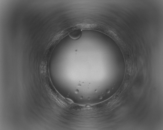 X0000054420357200508011403