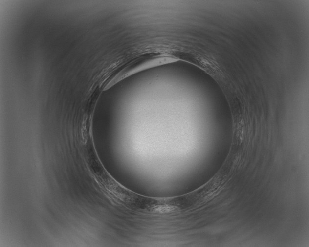 X0000054420360200508011403