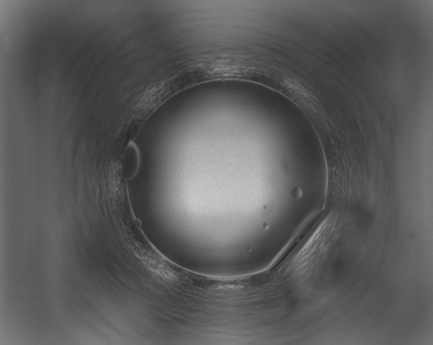 X0000054420361200508011403