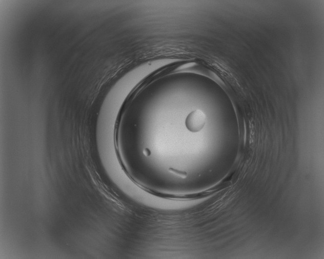 X0000054420362200508011403