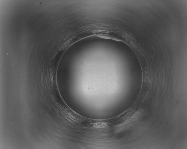 X0000054420363200508011403