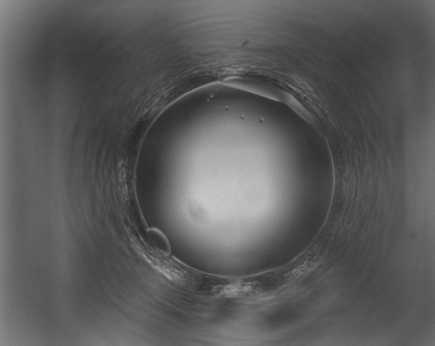 X0000054420366200508011403