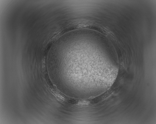 X0000054420369200508011403