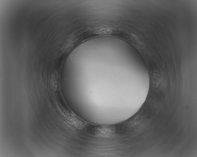 X0000054420370200508011404