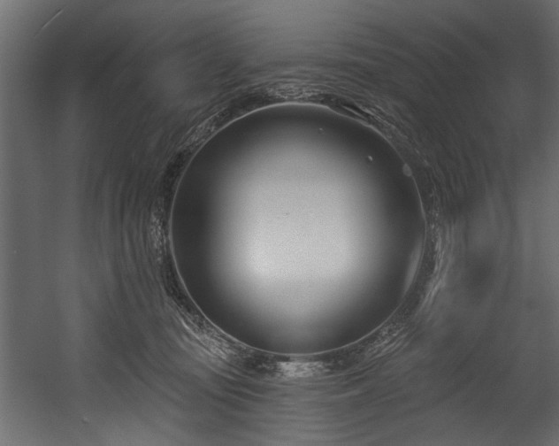 X0000054420371200508011404