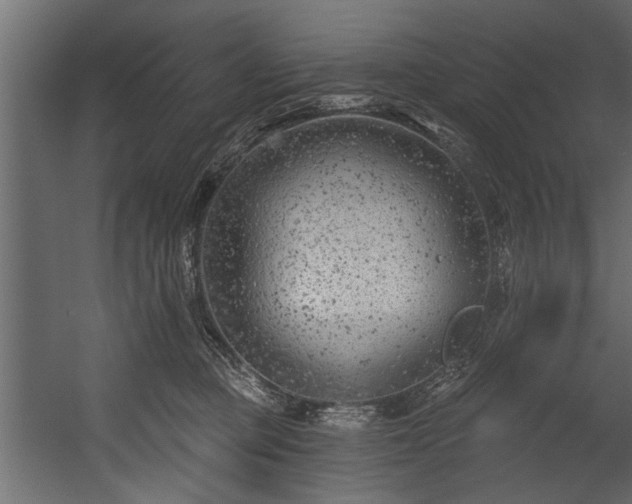 X0000054420373200508011404