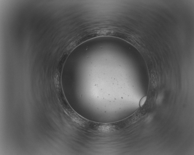 X0000054420375200508011404