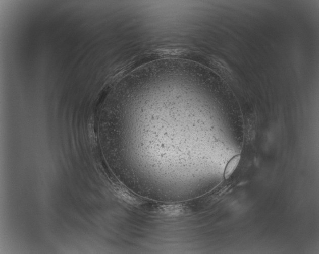 X0000054420377200508011404