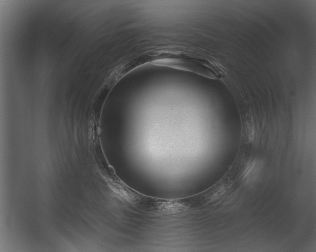 X0000054420379200508011404