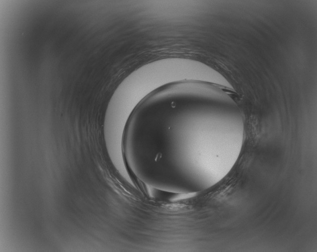 X0000054420380200508011404