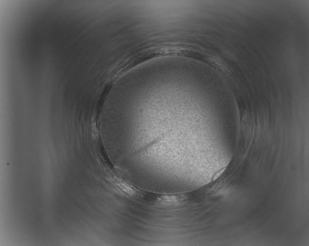 X0000054420381200508011404