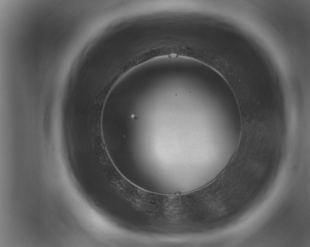 X0000054420382200508011404