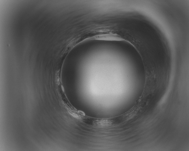 X0000054420383200508011404