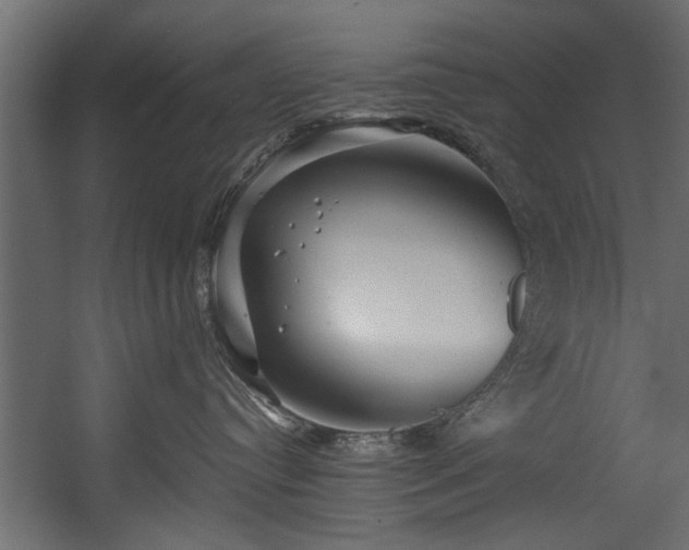 X0000054420384200508011404