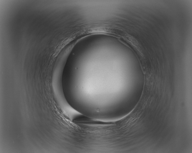 X0000054420385200508011403