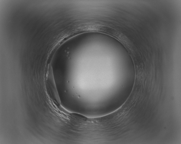 X0000054420386200508011403