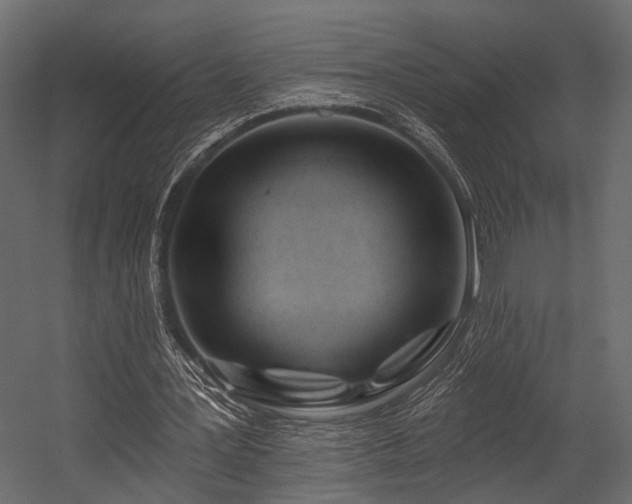 X0000054420387200508011403