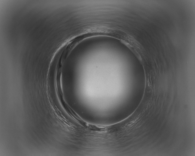 X0000054420388200508011403