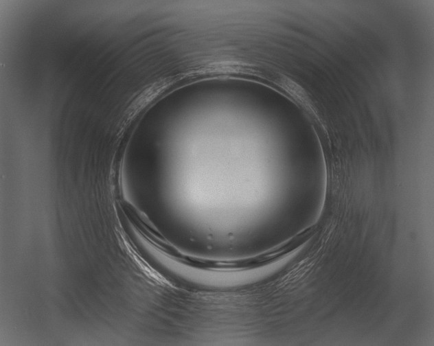 X0000054420389200508011403