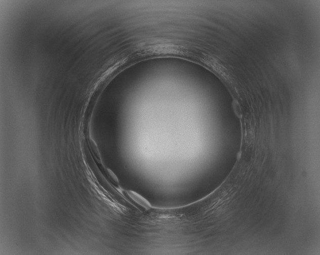 X0000054420390200508011403