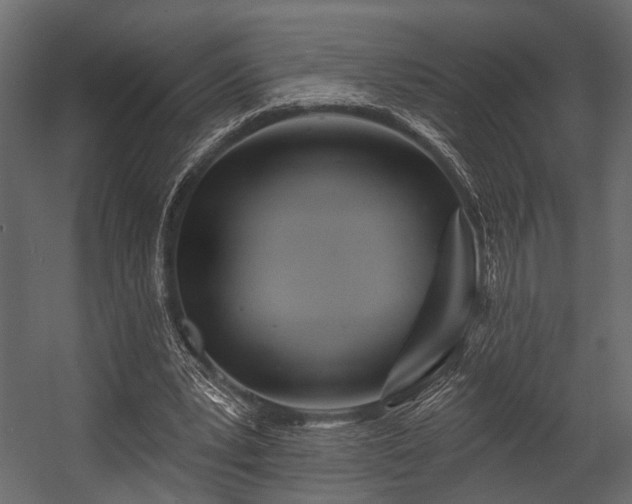 X0000054420391200508011403