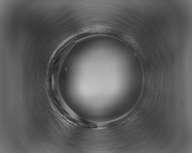 X0000054420392200508011403