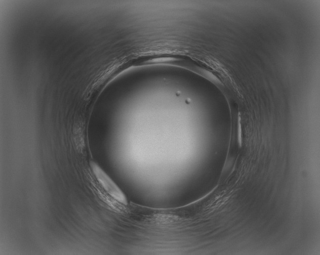 X0000054420393200508011403