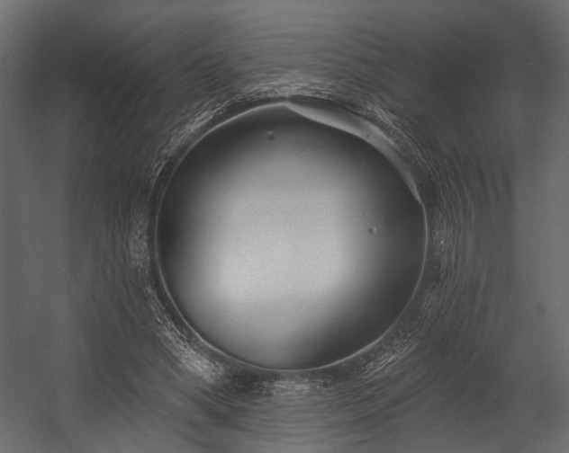 X0000054420394200508011403