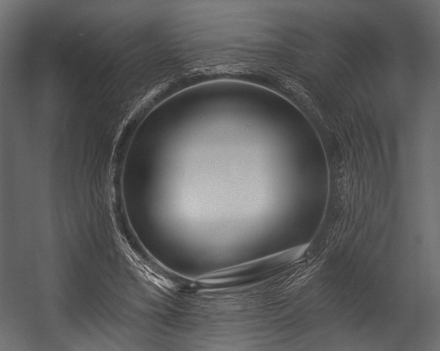 X0000054420395200508011403