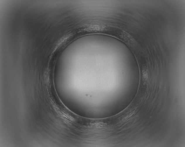 X0000054420396200508011403