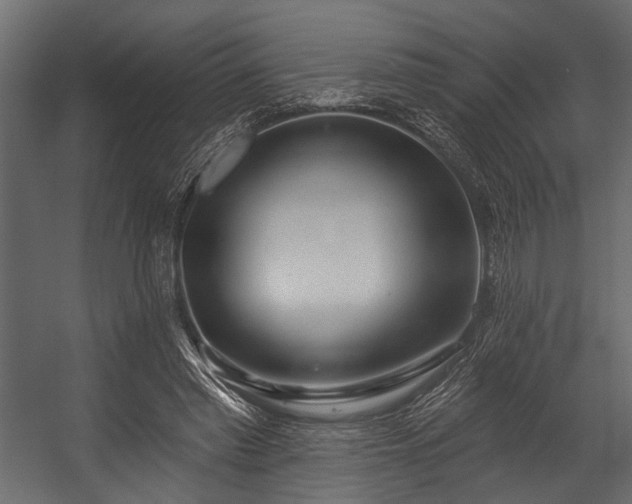 X0000054420397200508011403