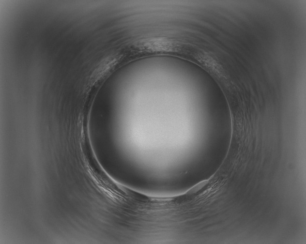 X0000054420398200508011403