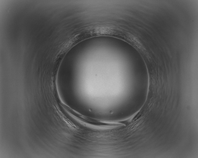 X0000054420401200508011403