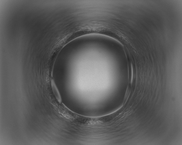 X0000054420403200508011403