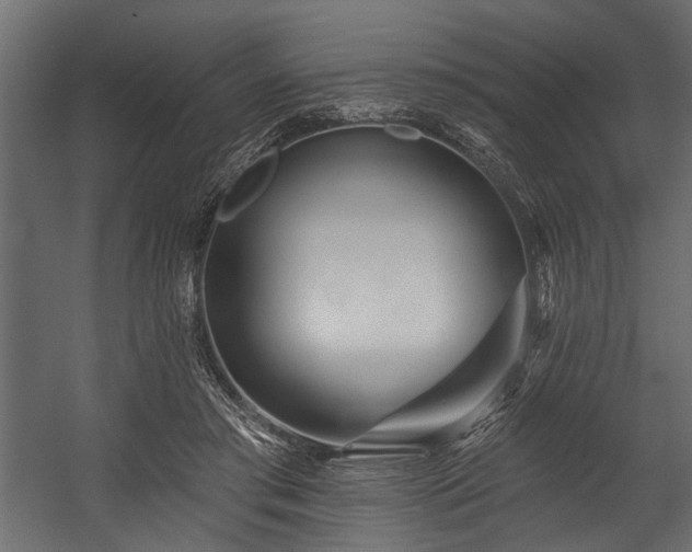 X0000054420405200508011403