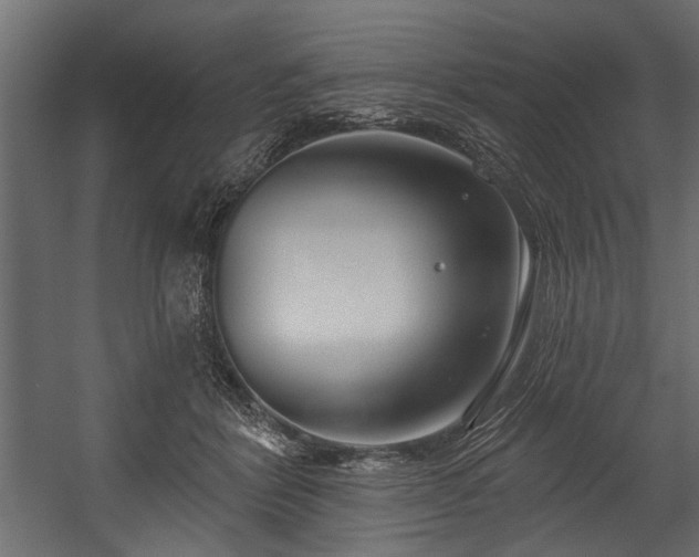 X0000054420412200508011402