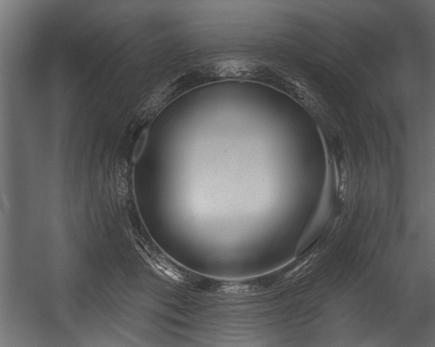 X0000054420413200508011402