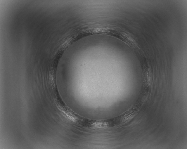 X0000054420415200508011402